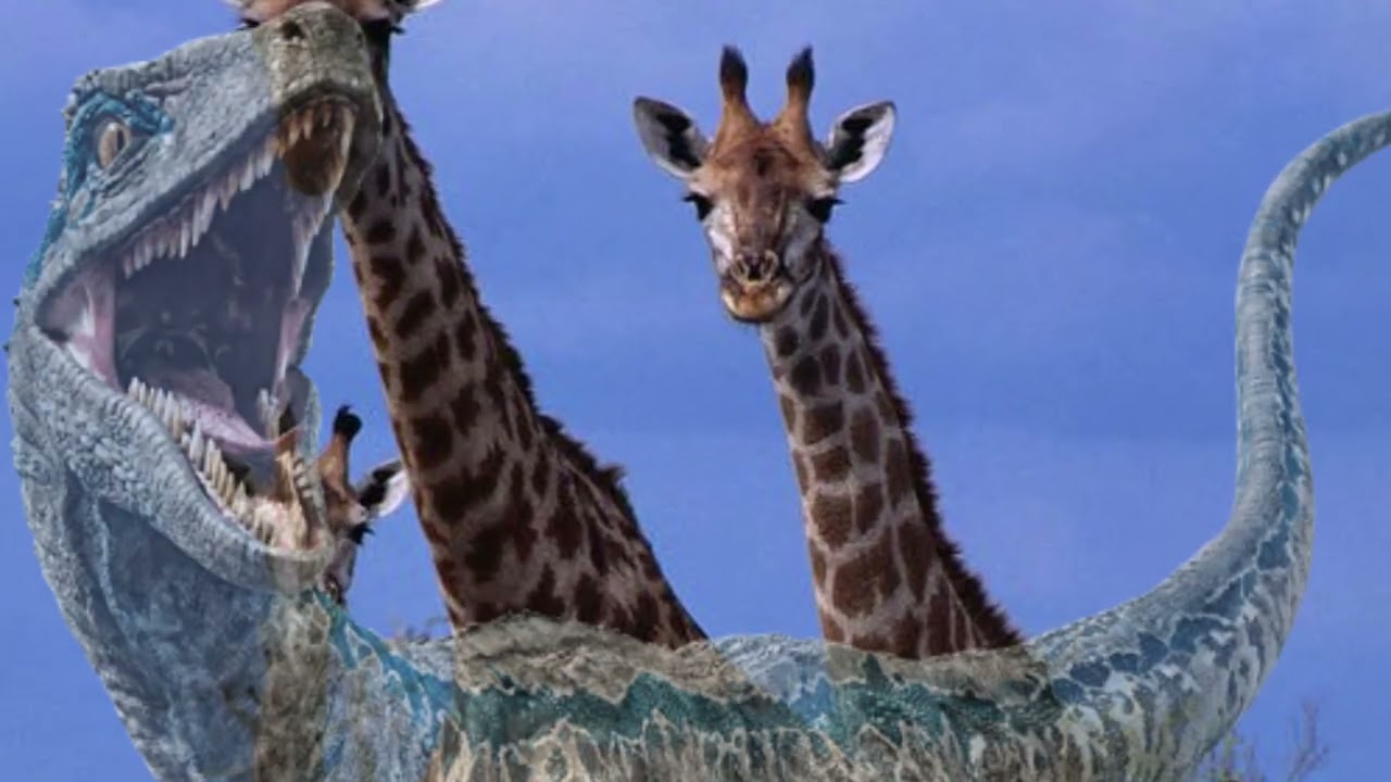 Chomper (dumbo) part 3 Casey jr.