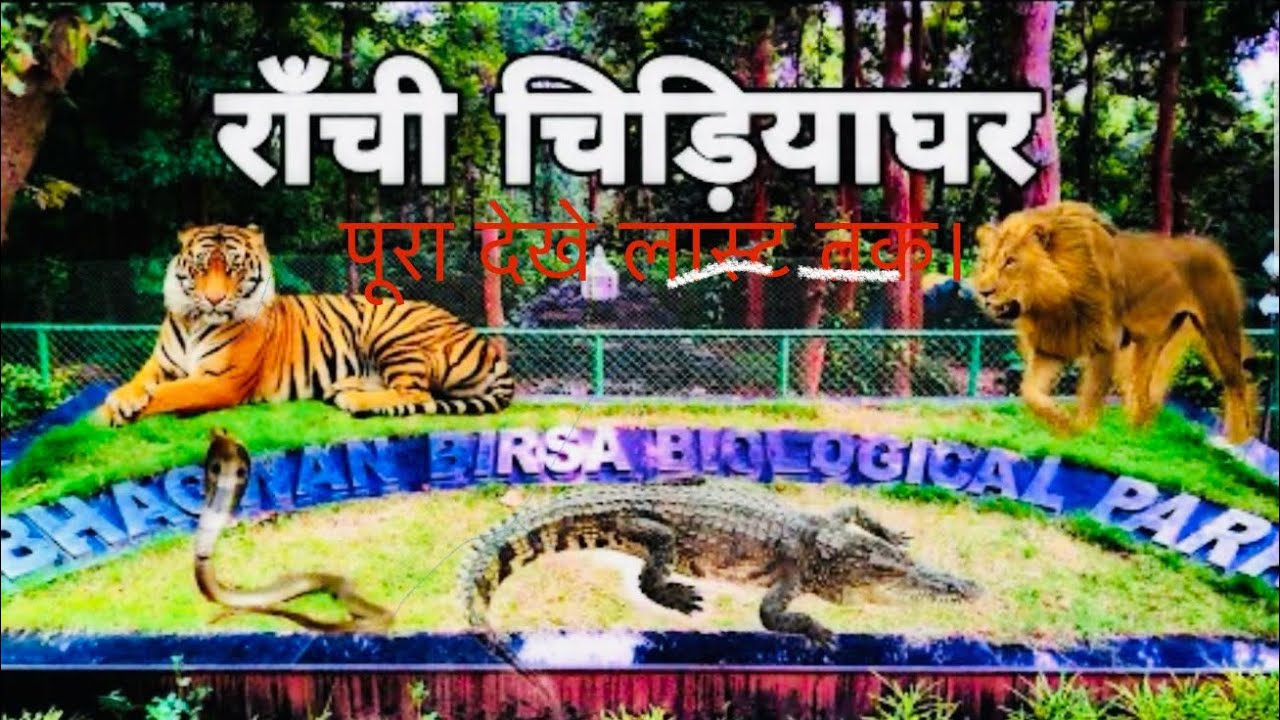 Ranchi zoo park - ormanjhi zoo birsa biological park ranchi zoo - ormanjhi zoo in ranchi jharkhand.