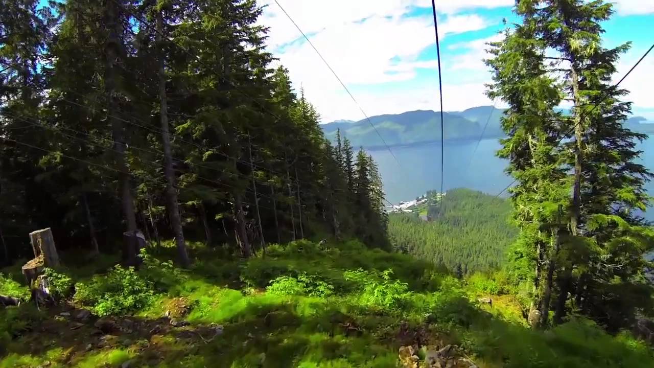 Scenic Mountain Ascent and World's Largest ZipRider, Icy Strait Point, Alaska