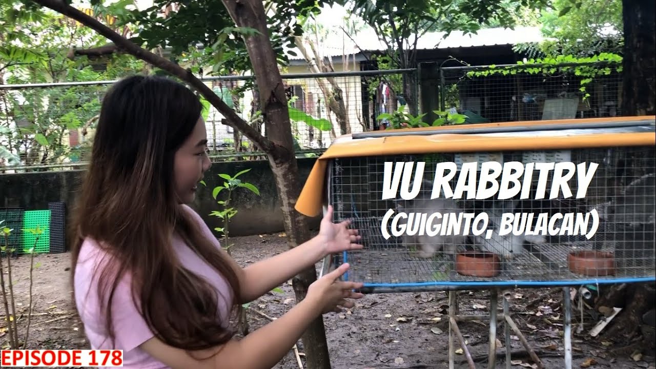 RABBIT FARMING - VU RABBITRY