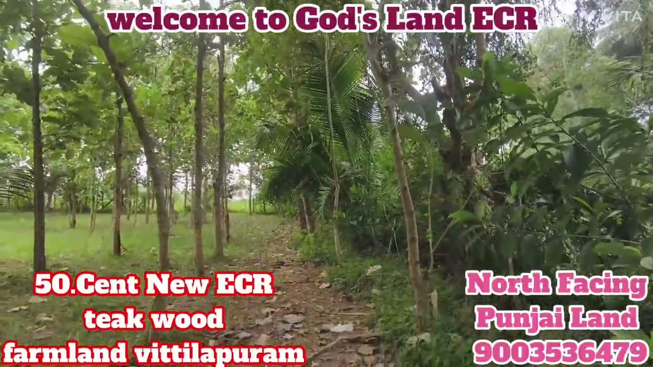 (🆔:449) 50.Cent ECR Farm Land....