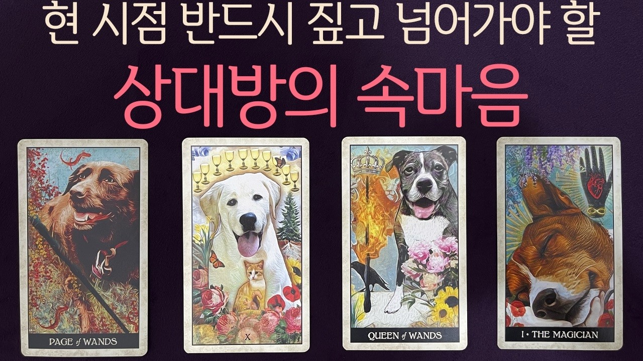 ⎮속마음 타로⎮현시점 반드시 짚고 넘어가야할✦상대방 속마음✦🧐💭