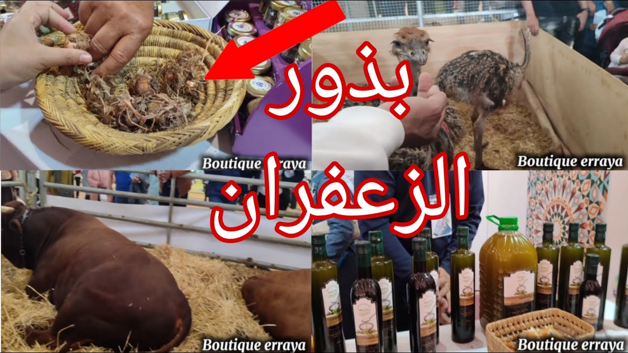 أشياء غريبة بالمعرض الدولي للفلاحة بمكناس 2025