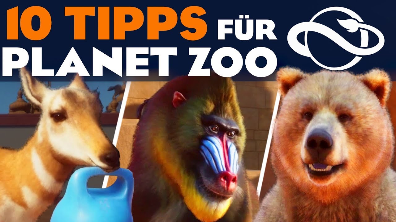 10 TIPPS f&uuml;r PLANET ZOO Erste Schritte Guide Deutsch German