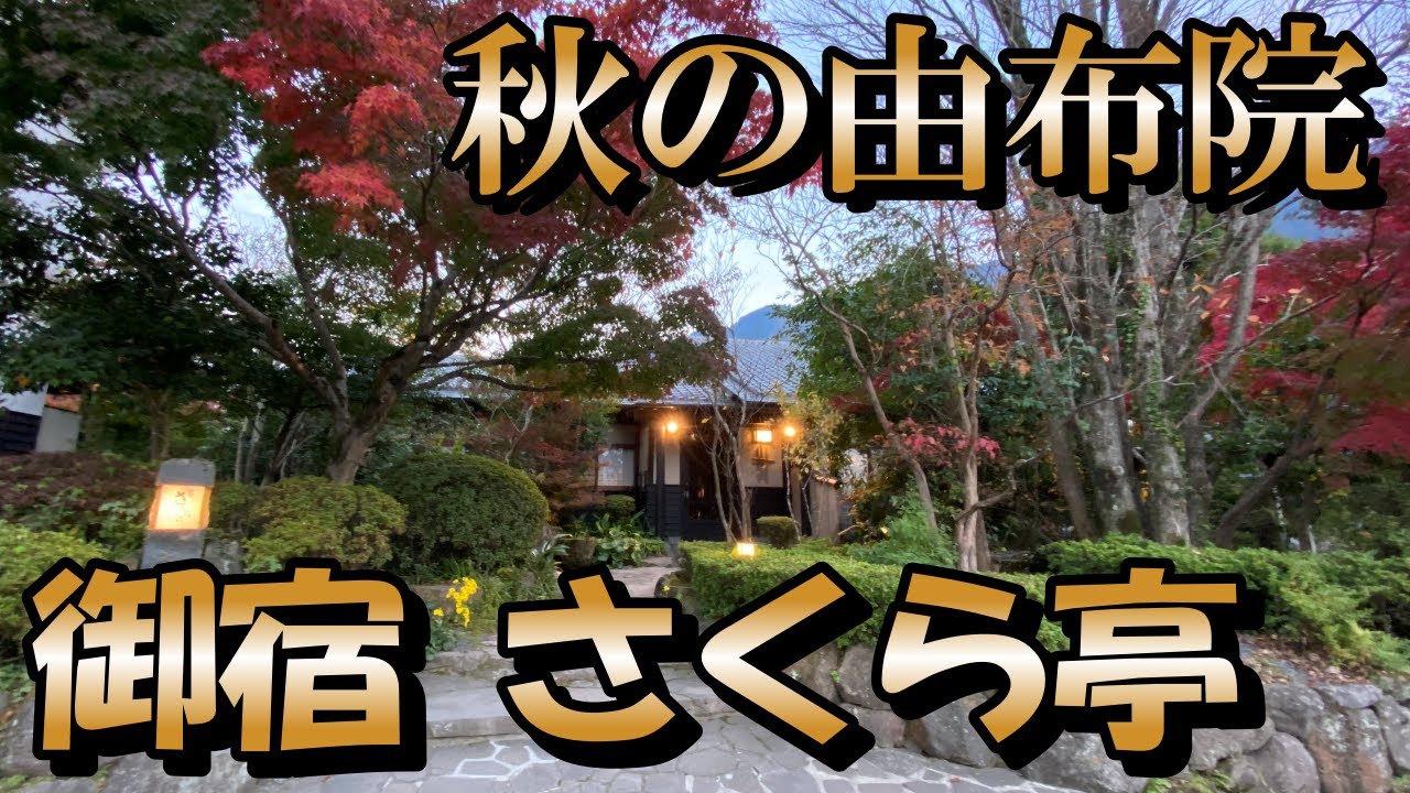 【夫婦ふたり旅🍁紅葉の湯布院温泉]お部屋から由布岳が見える！御宿さくら亭　＃167
