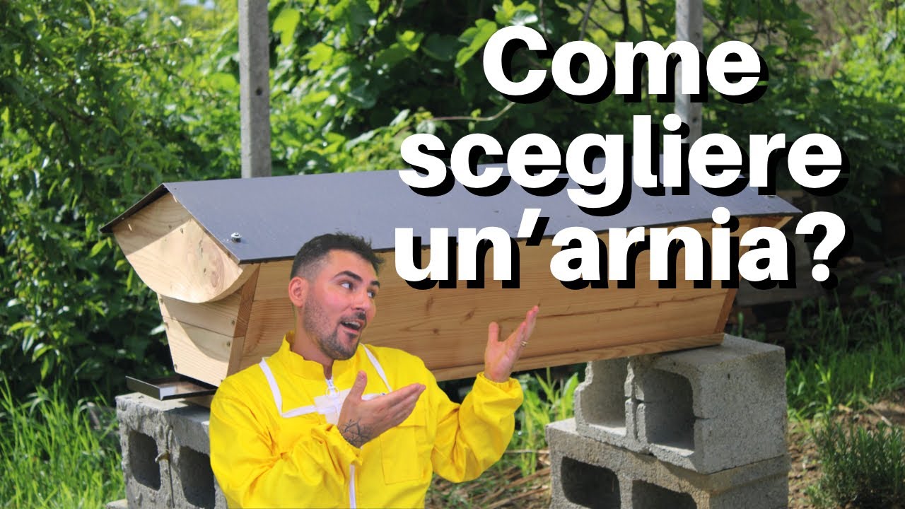 Apicoltura Top Bar: Come scegliere un’arnia?