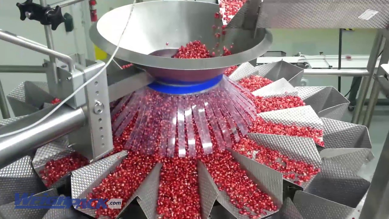 PrimoCombi multihead weigher dispensing pomegranate seeds into containers