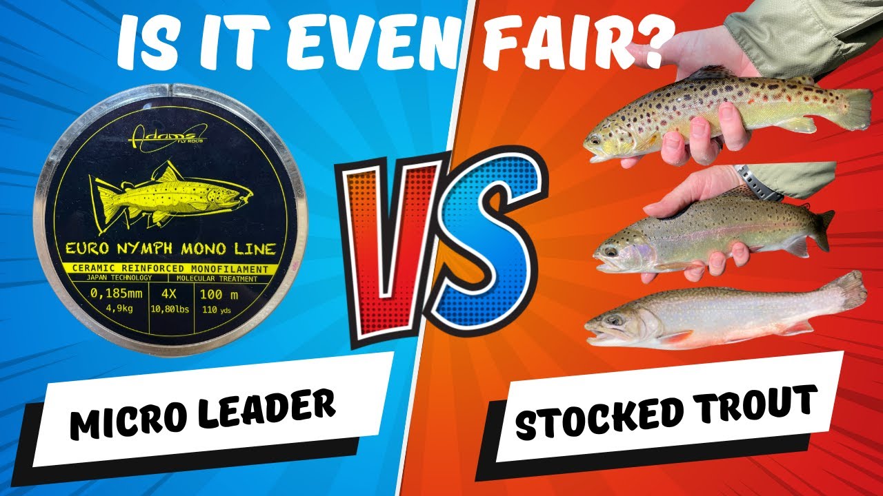 MICRO LEADER Euro Nymphing for STOCKED Trout: UP your CATCH RATE!