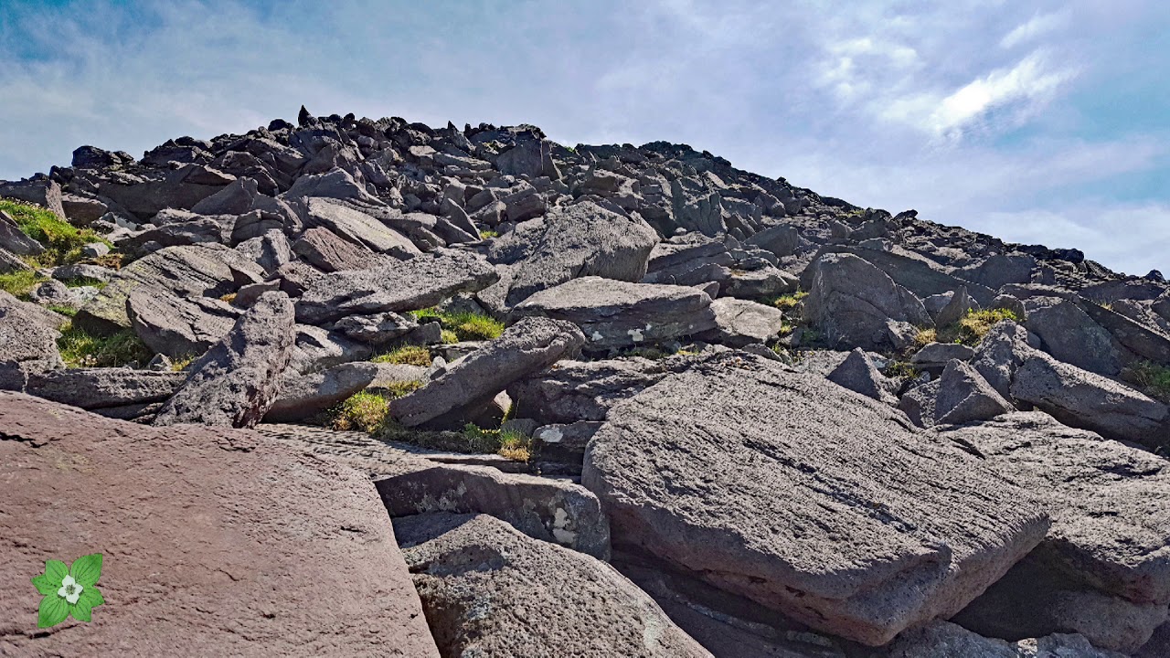 Coomloughra Horseshoe Loop - July 2, 2018