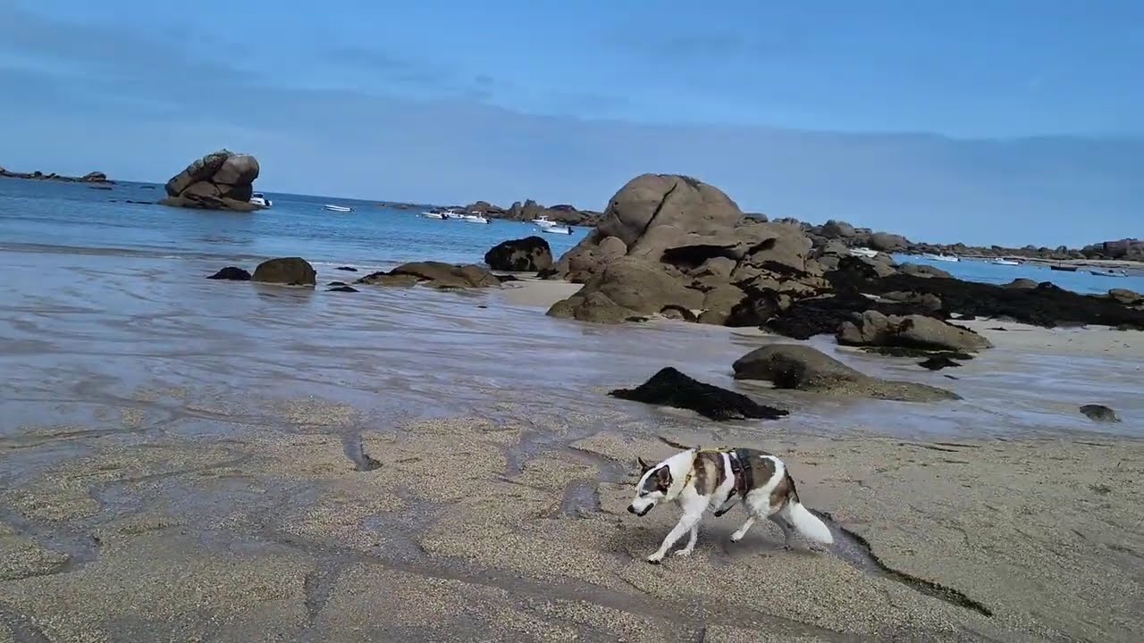 Plage Novoden Rudoloc - Kerlouan France