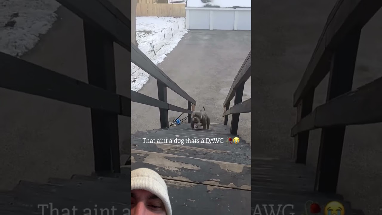 It looks like he is hopping up the steps