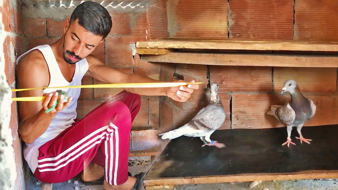 هنا غايعيشو على ما نرجع