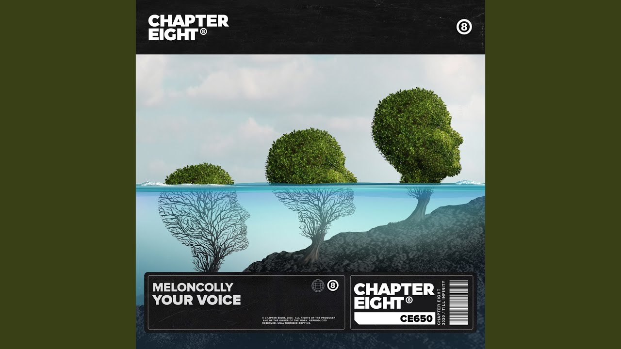 Your Voice
