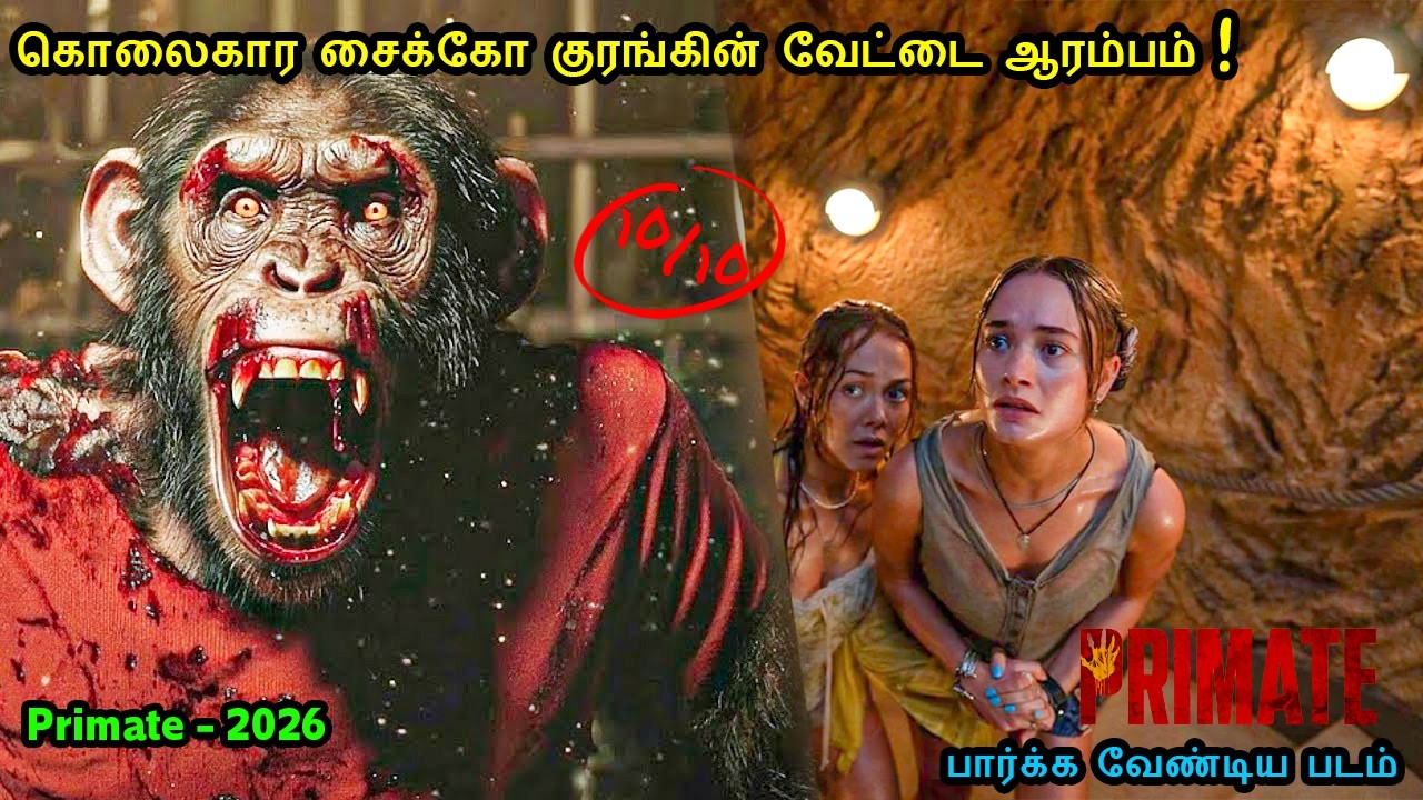 கொலைகார சைக்கோ குரங்கின் வேட்டை ஆரம்பம் ! | Tamil Recap | Movie Explained in Tamil