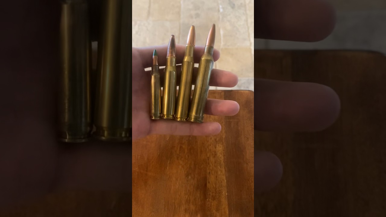 The 5.56 is the most dangerous round in existence? 😳😂 god forbid you hunt with it 🫡