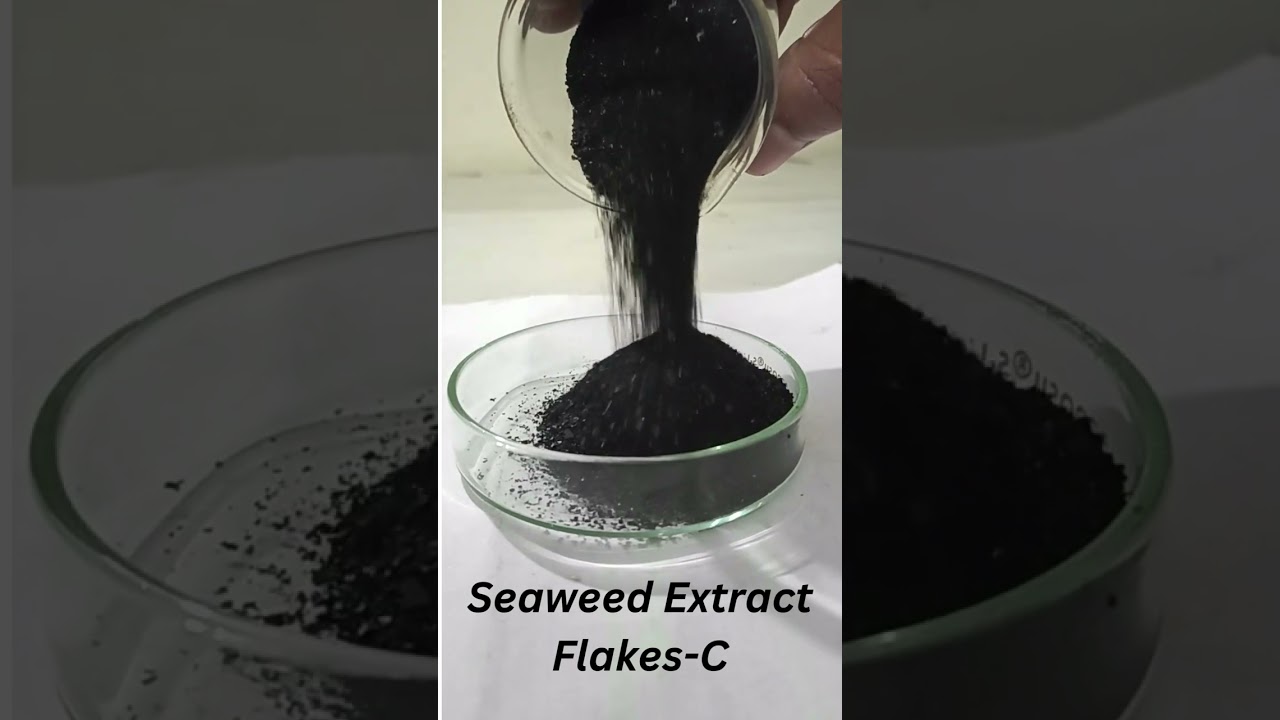 Seaweed Extract Flakes C