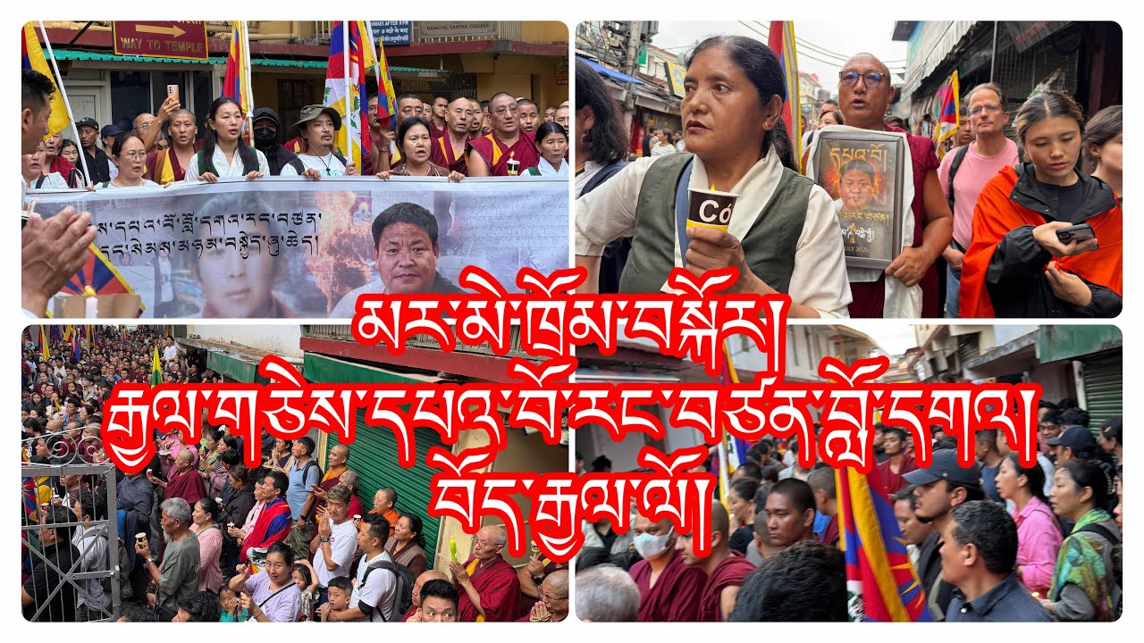 🕯️ Candlelight Vigil in McLeod Ganj | Tribute to Pawo Loga Rangzen la | Free Tibet
