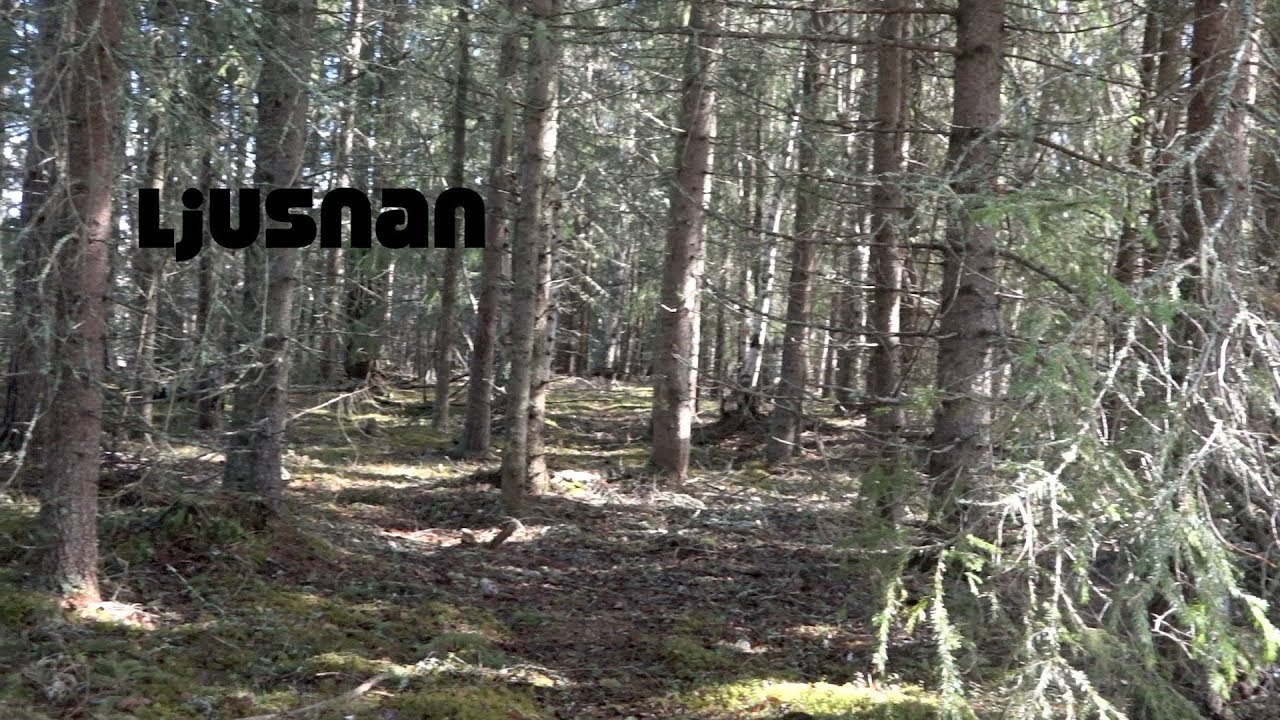 Ljusnan