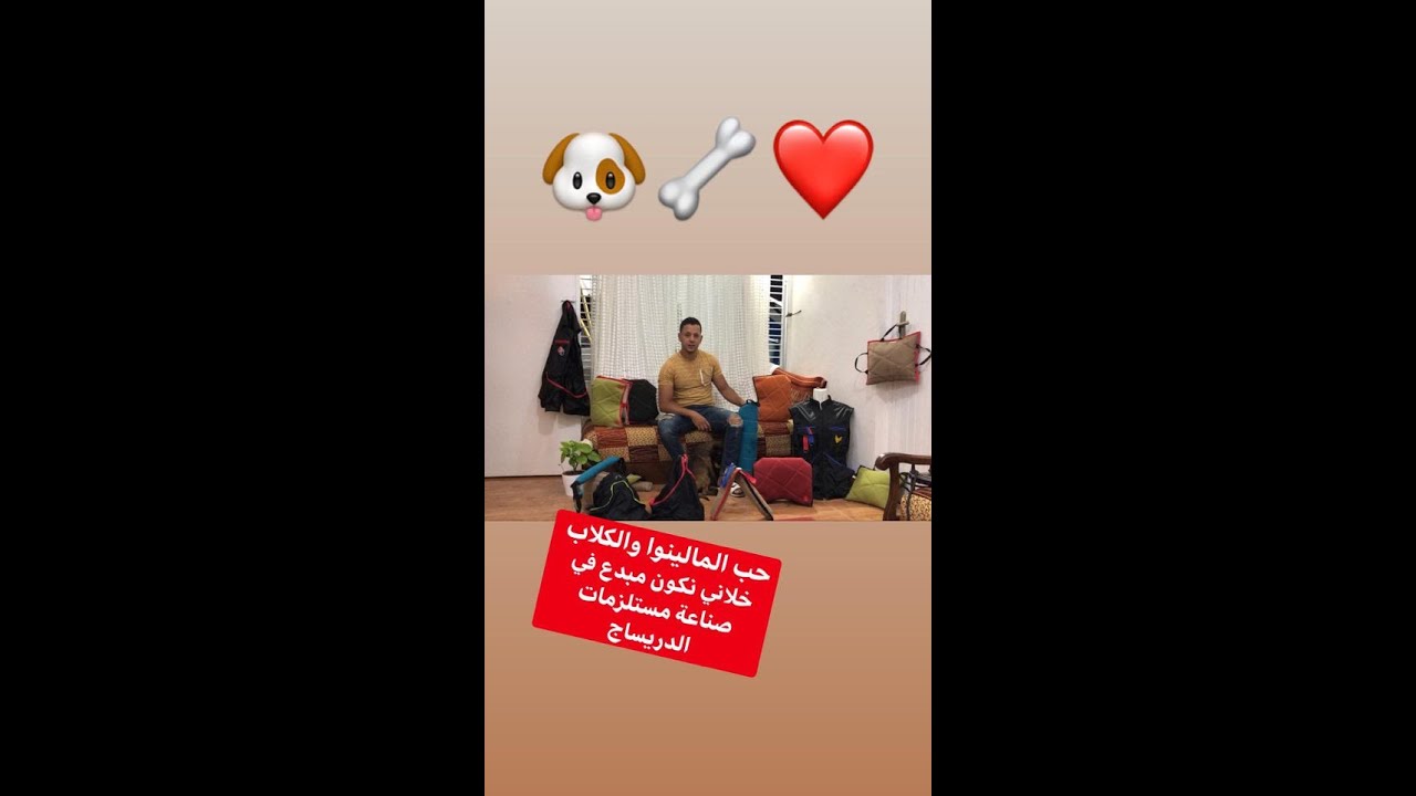 حب المالينوا والكلاب خلاني نكون مبدع في صناعة مستلزمات الدريساج