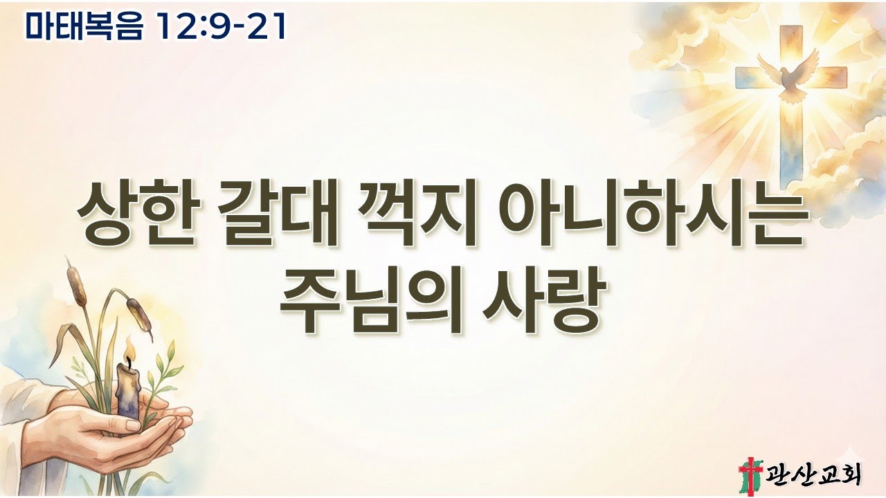 2026. 01.11. 주님의 수세주일  오후 찬양 예배 / 마태복음 12:9-21 / 상한 갈대 꺽지 아니하시는 주님의 사랑 / 서나리 전도사