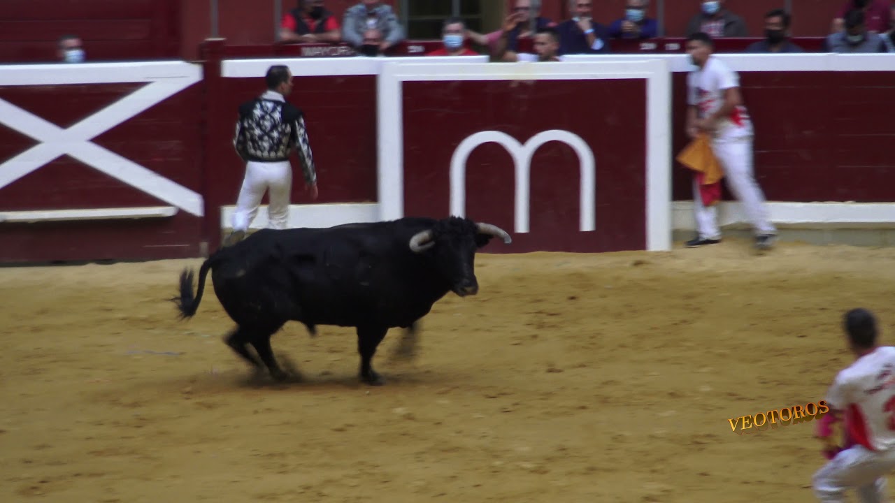 Logroño 2021 Quiebros Baptiste Bordes
