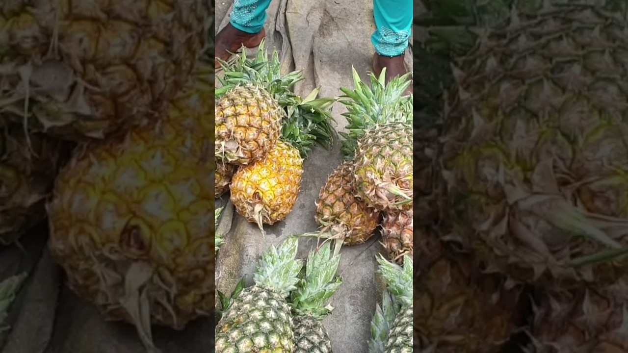 Best place to get fruits for your zobo drink or other fruit juicing business(KETU MARKET)