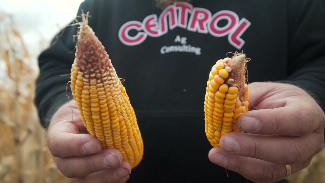#ONFARM: Staying True to the Results
