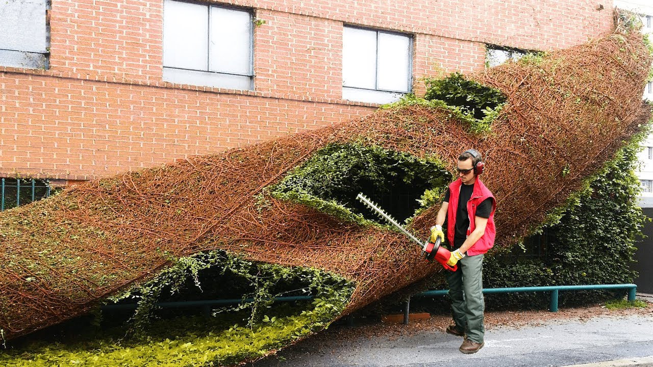 40 Minutes Of Satisfying Workers Doing Their Job Perfectly