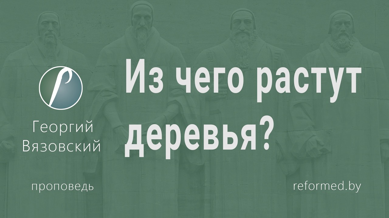 Из чего растут деревья? | Георгий Вязовский || 08.03.2026