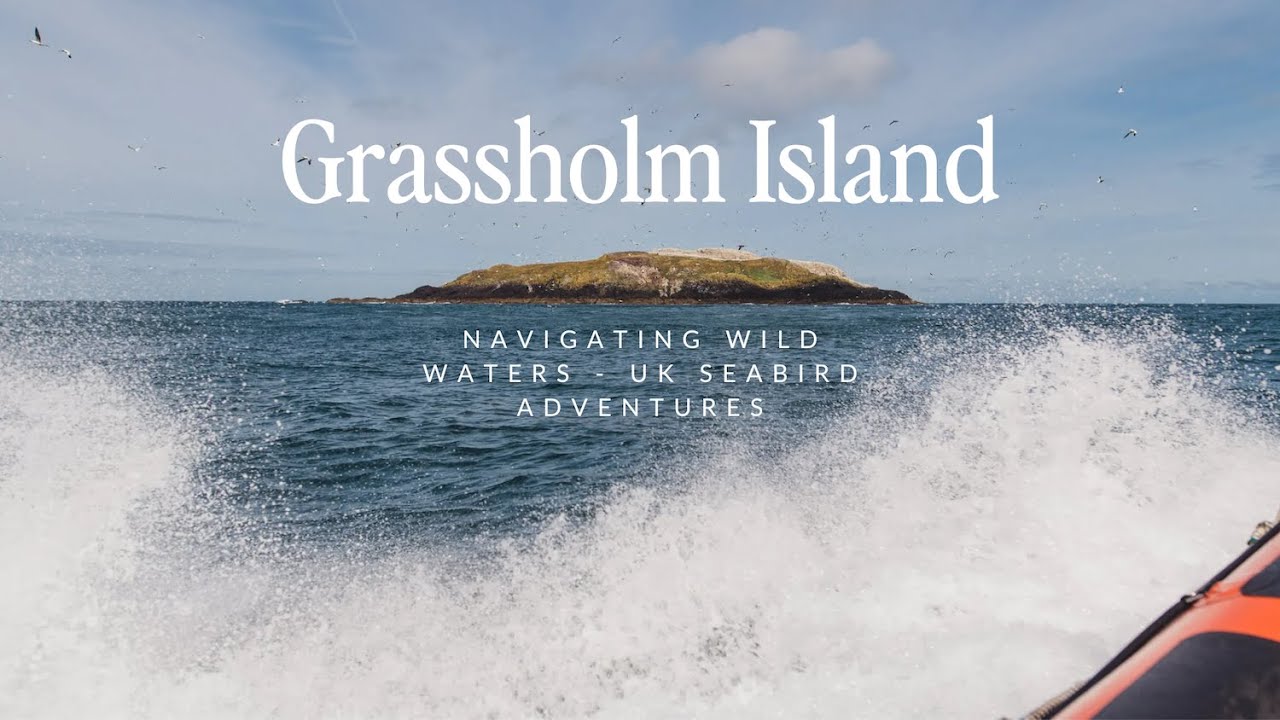 Adventure to Grassholm Island