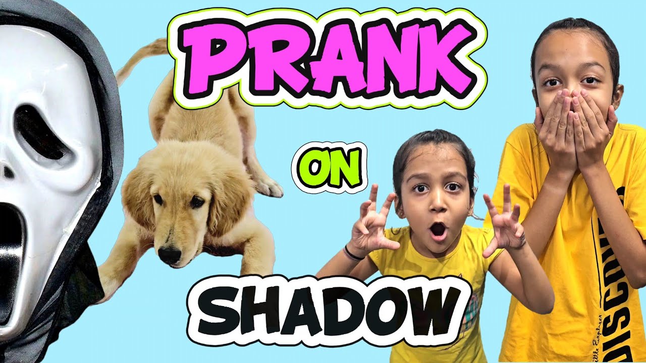 PRANK ON SHADOW 😈😱😁😂 | Family Fun | Pet Lover | Family Vlog | Aayu and Vanu