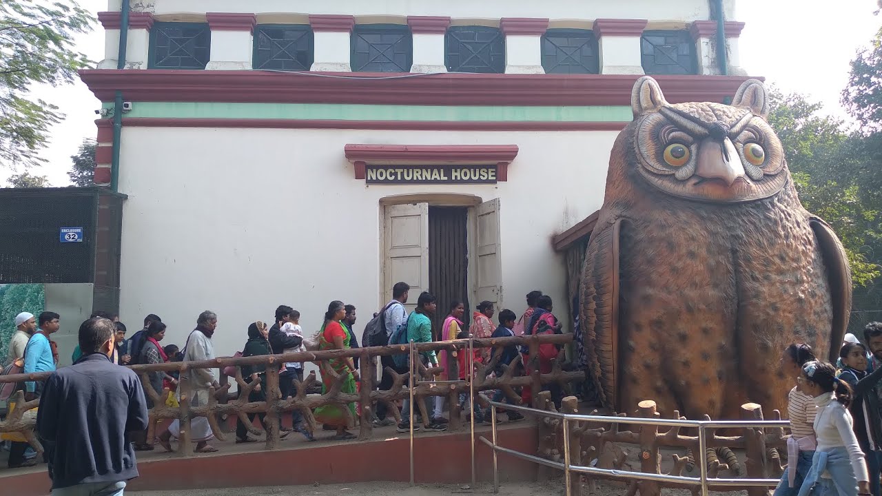 Alipore Zoo 🐅🦒 | Explore Kolkata’s Wildlife Paradise! 🐘🦜 #AliporeZoo #Wildlife #KolkataTourism