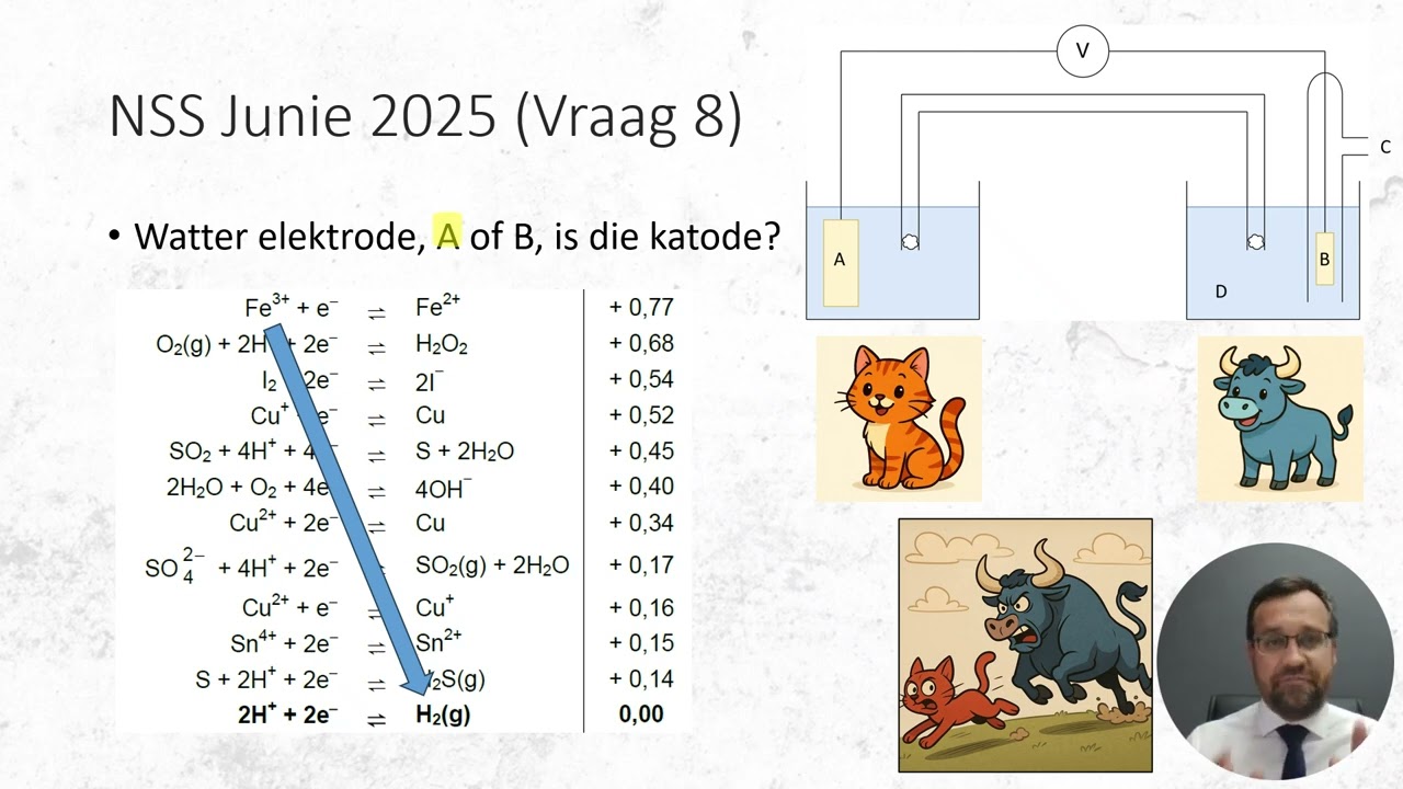 Graad 12 - Nasionaal - Junie 2025 - Galvaniese selle (Eindeksamen)