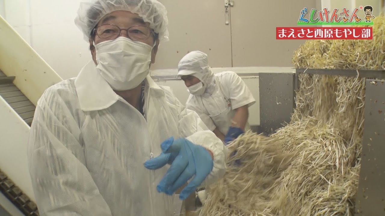 ぐしけんさん　食卓を支えるけんさん食材の魅力！「もやし」＆「卵」！　Vol25