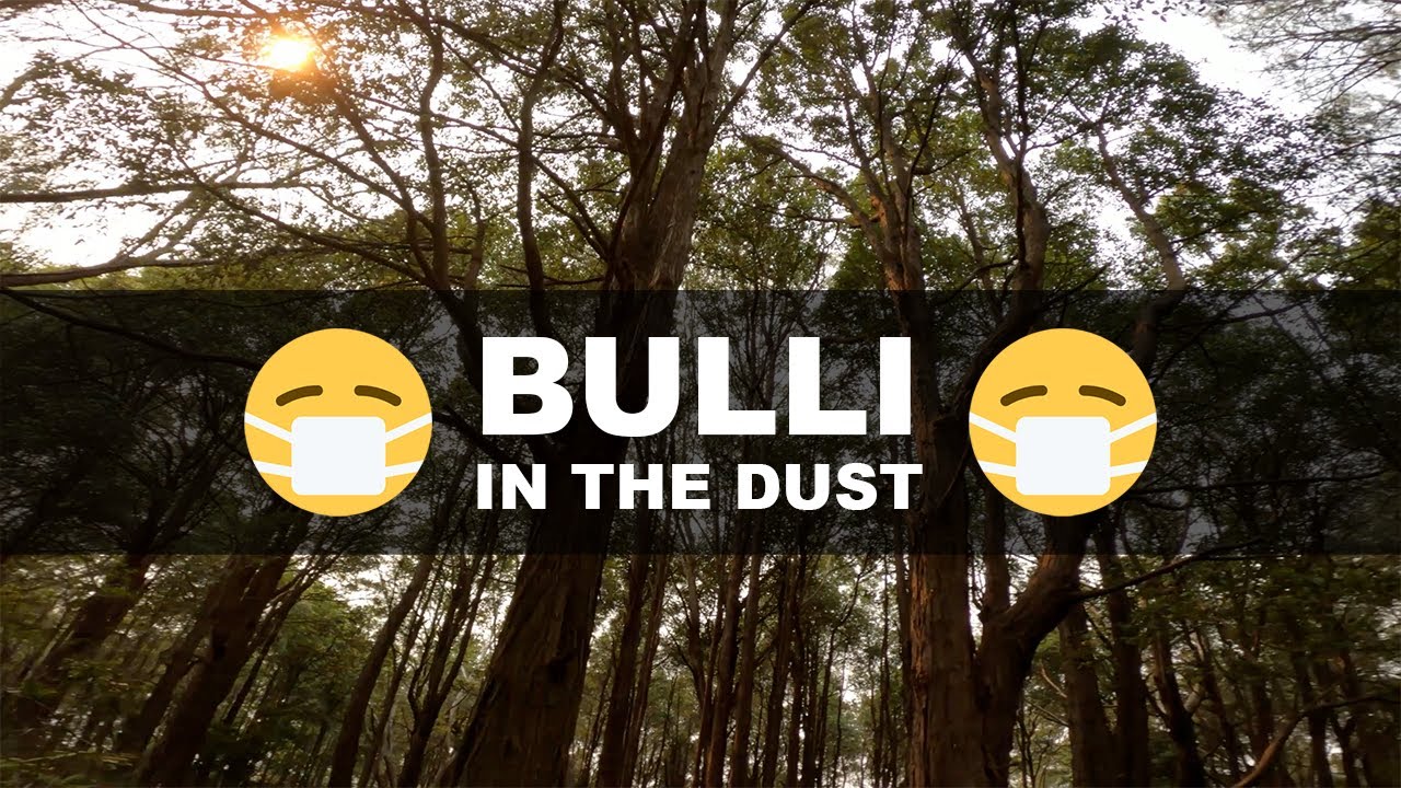 Bulli MTB | Big Balls, Bulli DH, Waynos in the dust