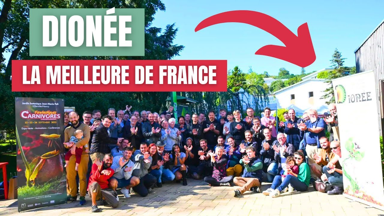 J’adhère à l’association la plus FOLLE de Plantes Carnivores ! 🌿