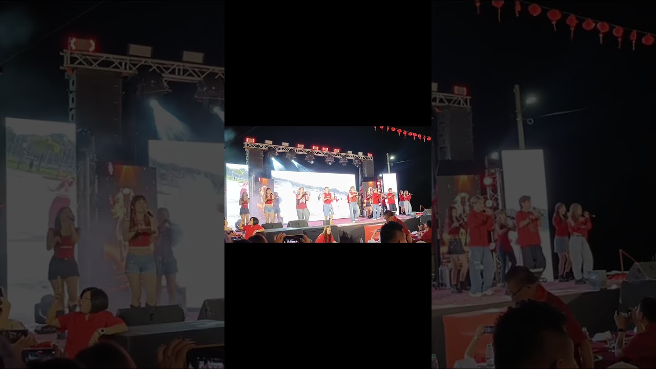 吉打斗母宫 年十三 1119 你说蛇