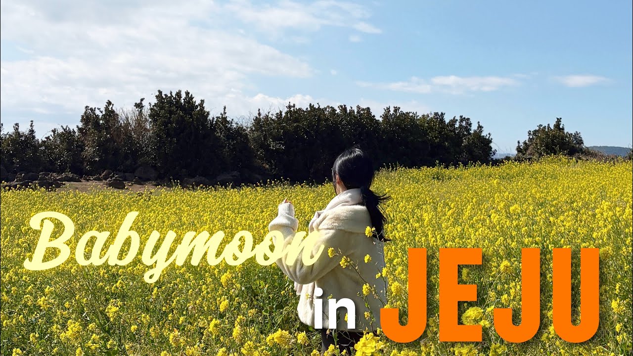 [25주차 임산부 일상] 제주도 태교여행