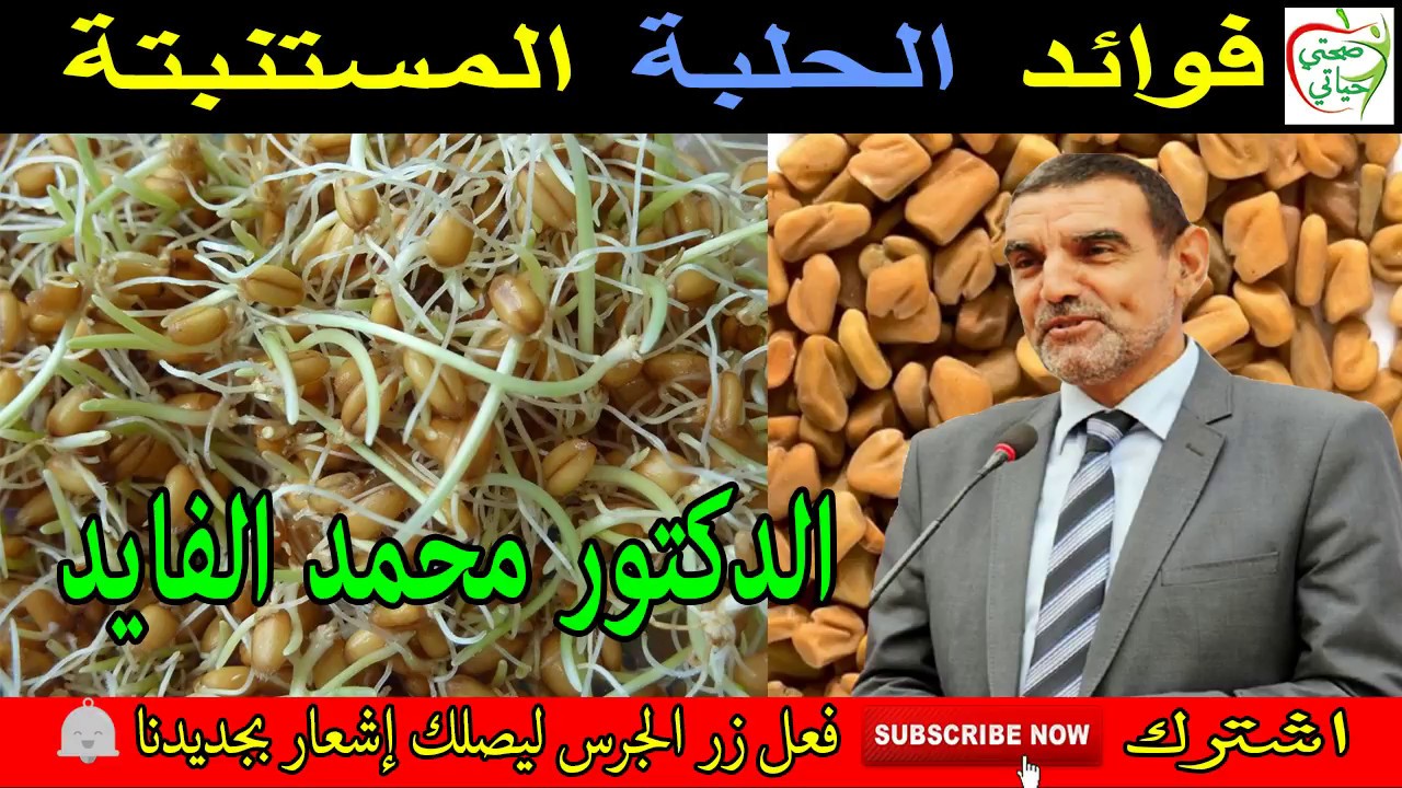 ‫الحلبة المستنبتة أحسن وهذه طريقة إنباتها الصحيحة مع الدكتور محمد الفايد