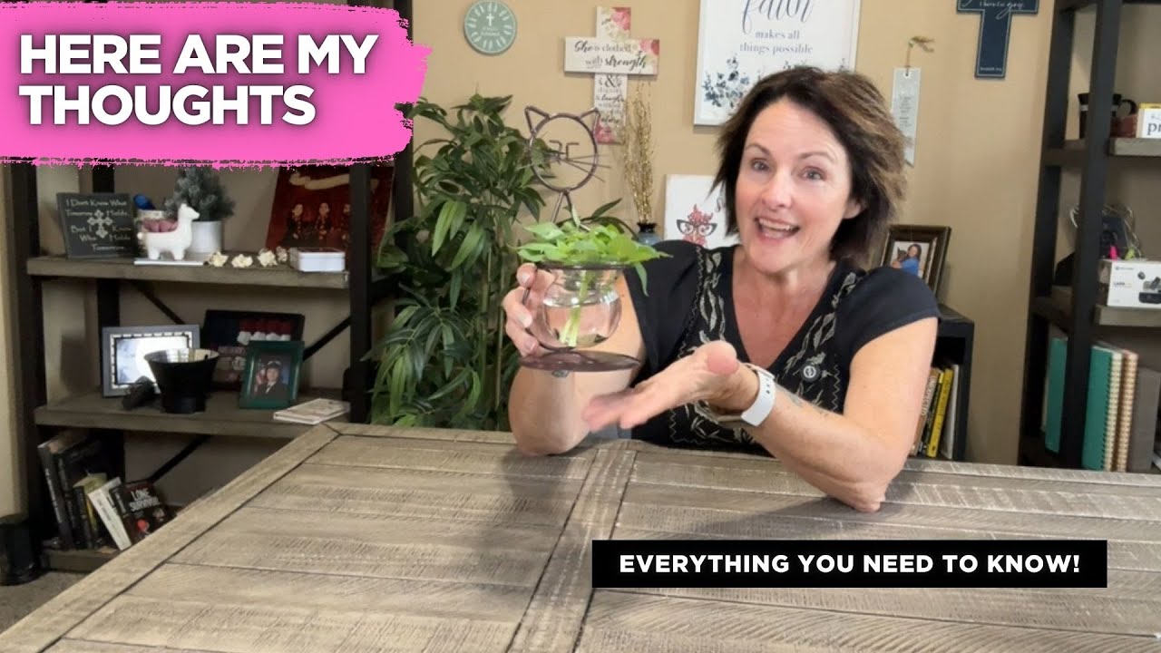 Marbrasse Glass Planter Review | Adorable Cat Terrarium for Hydroponic Plants