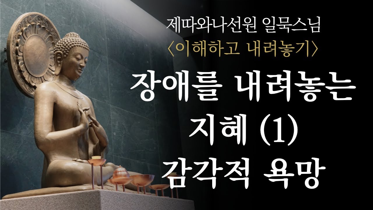 장애를 내려놓는 지혜 (1)ㅣ일묵스님ㅣ제따와나선원 '이해하고 내려놓기' 연작법문 중