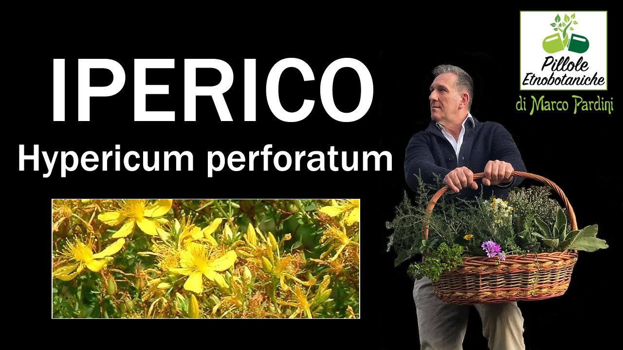 Iperico