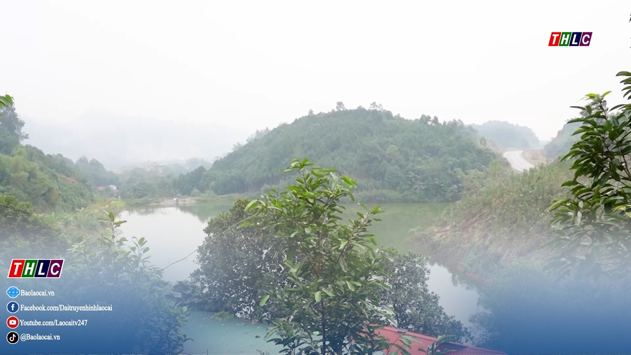Bản tin kinh tế hợp tác (4/3/2026) | THLC