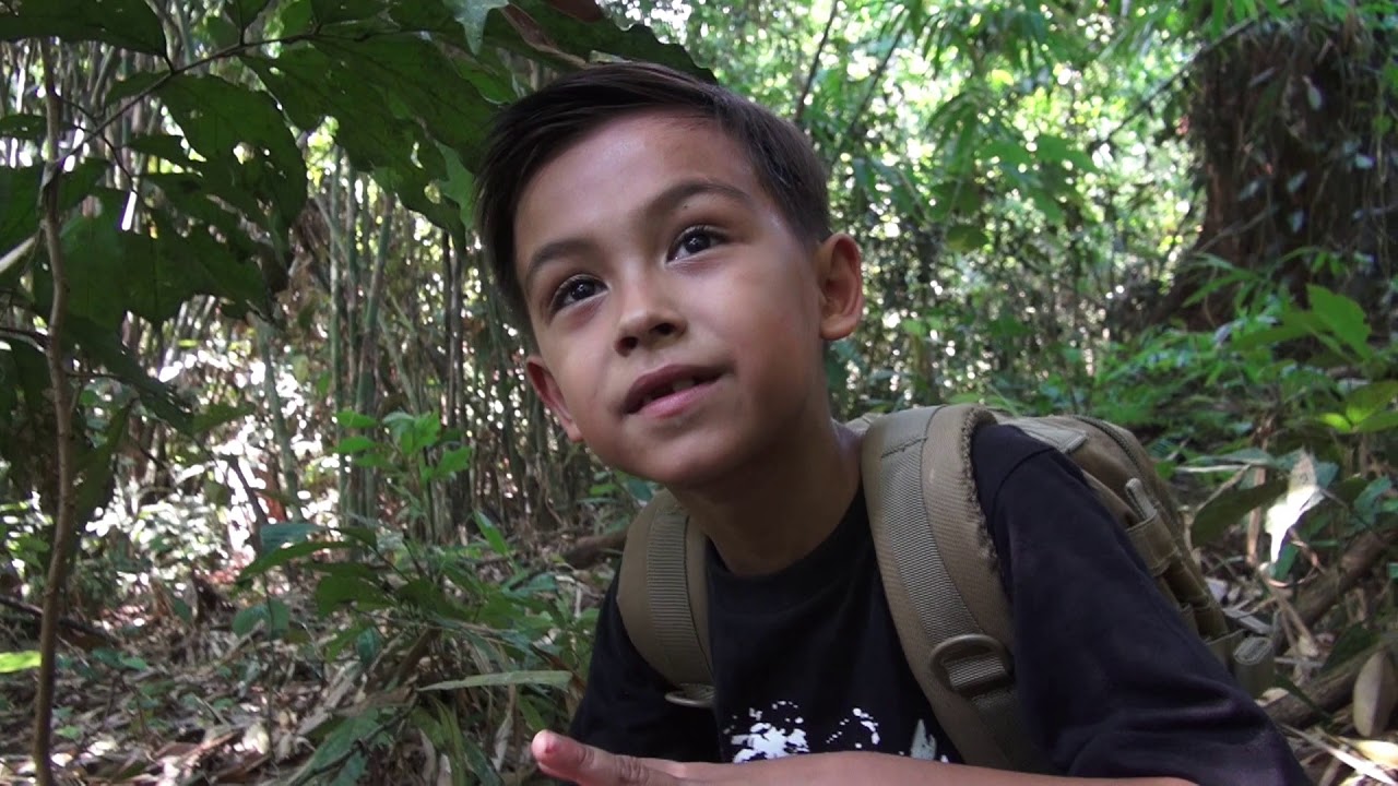 Enzo is  looking for macaques in the jungle