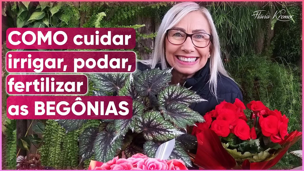 Aprenda como deixar sua BEGÔNIA mais bonita e saudável | Flávia Kremer