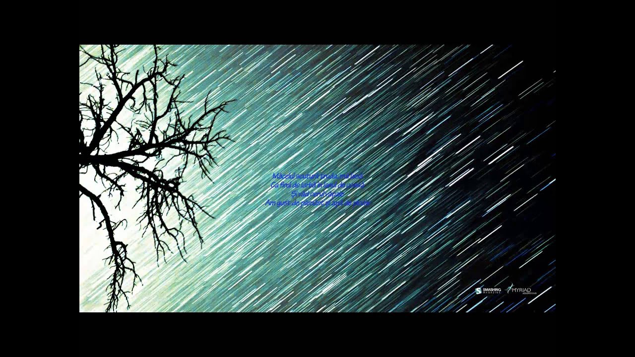 Emi feat. Kamelia - Vara Rece  -Lyrics