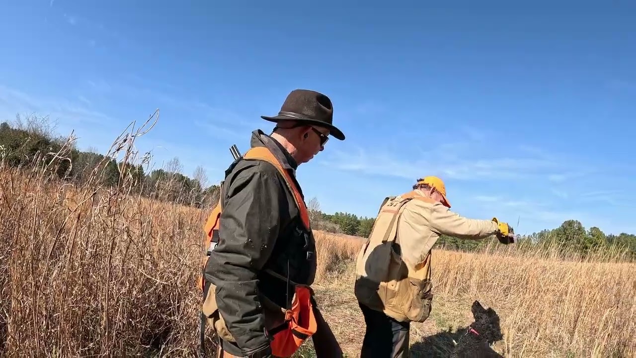 January 2026 Dog Training and Shooting Quail at Sellwood Farms