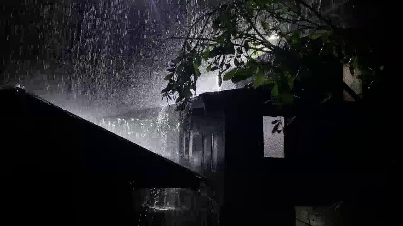 Heavy Rain on Tin Roof 🌧️ Fall Asleep Instantly