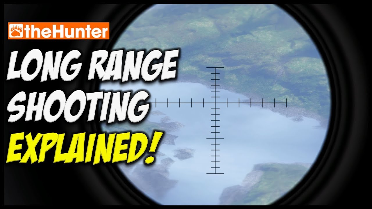 Long Range Shooting | How to make that super long shot - theHunter Classic