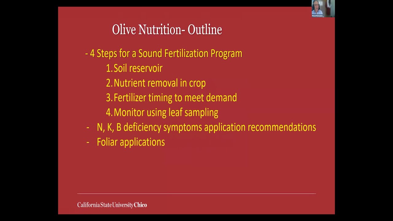 Talk #4: Olive Nutrition with Richard Rosecrance